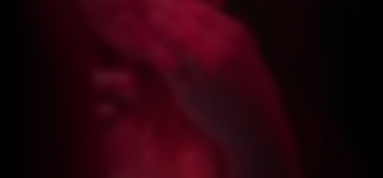 annabelle-dexter-jones-613feae8_featured_image_biopic