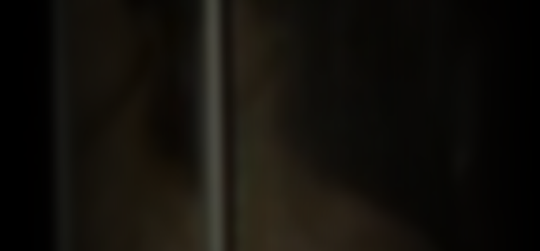 hania-amar-962db23a_featured_image_biopic