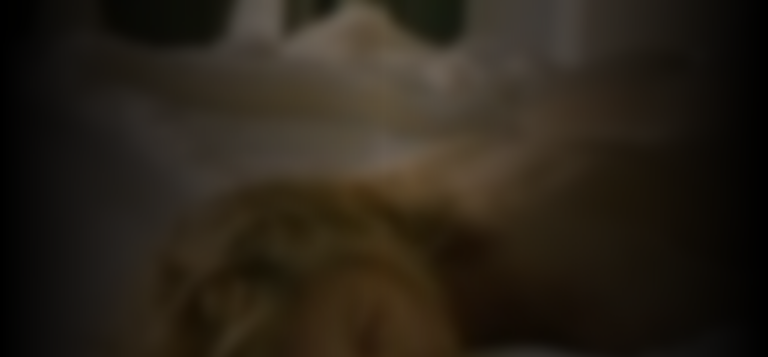 heidi-monsen-3e34ecc0_featured_image_biopic