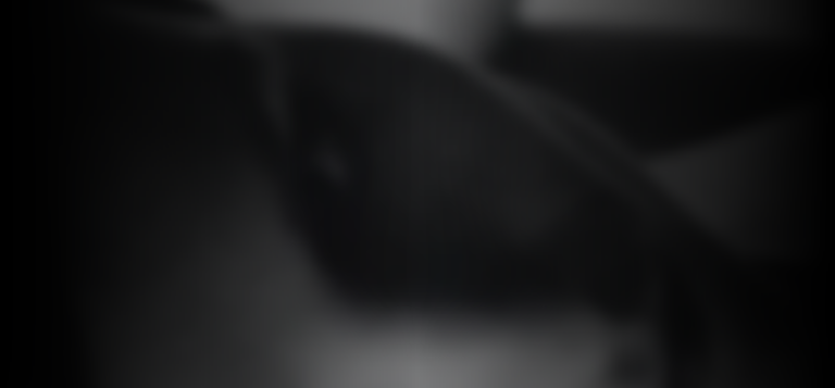 jesse-sullivan-ca0f3f3e_featured_image_biopic