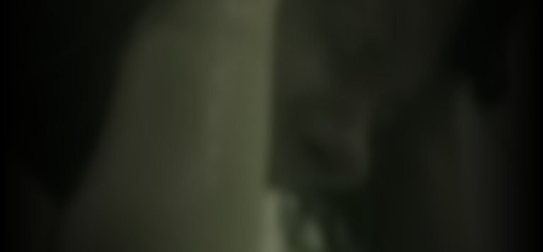 kelly-lavasseur-c77d35ed_featured_image_biopic