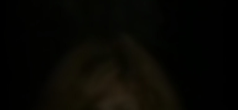 krista-hefner-7b8fb22b_featured_image_biopic