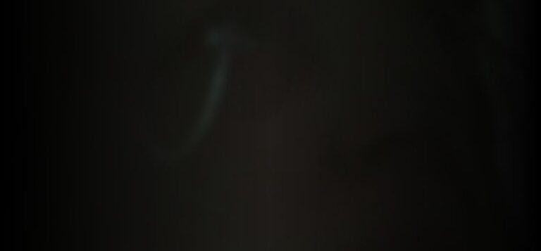 mariann-hole-e956fd60_featured_image_biopic