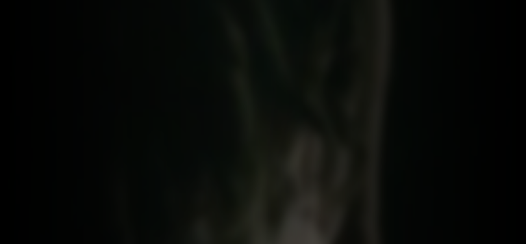 morgane-polanski-d21f8d46_featured_image_biopic