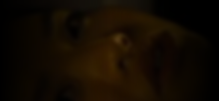 natasha-liu-2d960ac8_featured_image_biopic