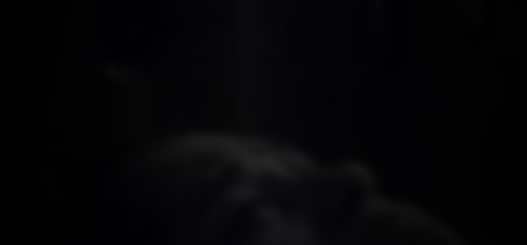 tara-arroyave-e391d612_featured_image_biopic