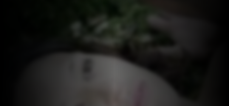 tessie-herrasti-ef06e03c_featured_image_biopic